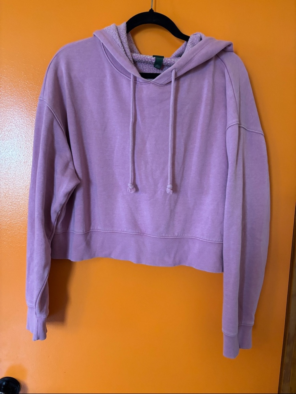 wild fable Lilac Cropped Hoodie Sweatshirt